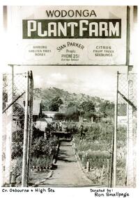 Looking through the gateway into the plant farm.
