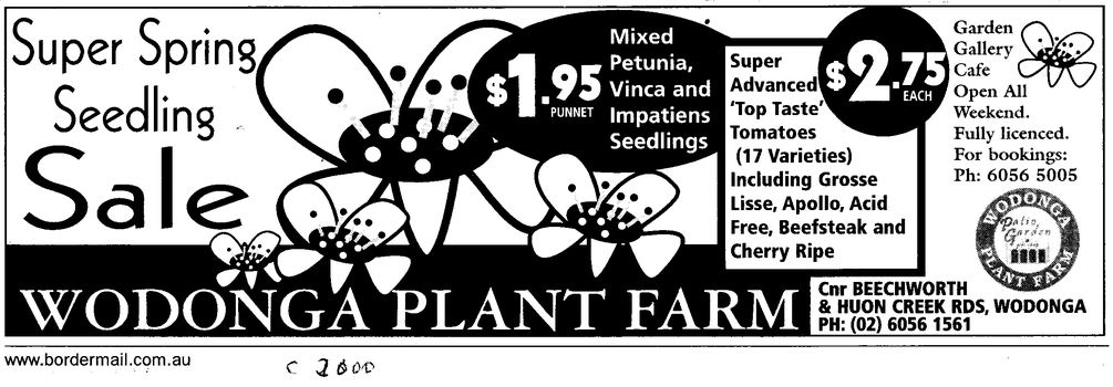 Advertisement for Spring Sale 2000