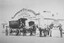 Pola Singh holding reins and Isar Singh on seat. Taken at Federal Coach Factory, High Street Wodonga
