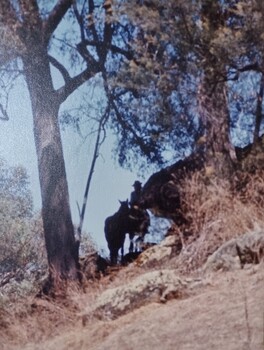 Kieran following the cattle duffers' track with "Grapeshot"