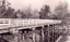 Wodonga Creek Stock Bridge date unknown