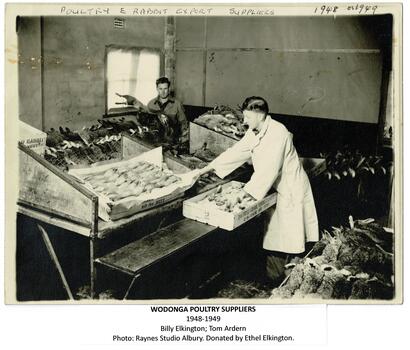 Preparing Rabbits for export in Wodonga