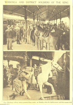 Wodonga and District Soldiers of the King - the Light Horse