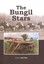The Bungil Stars Cover image