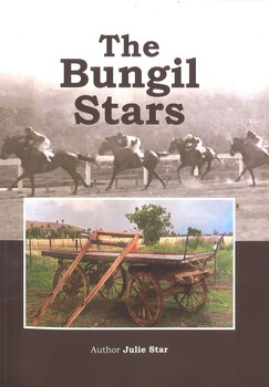 The Bungil Stars Cover image