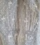 Embroidered lace underlay on camisole.