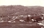 Bethanga Township image by Bonsema
