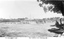 Rose Series Postcard - Wodonga Swimming Pool