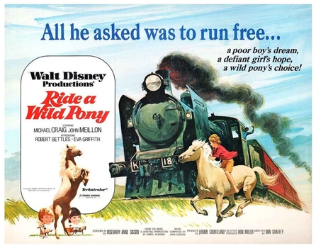 Ride a Wild Pony Advertising 2