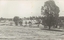 Snow on the Chiltern Golf Course 1922