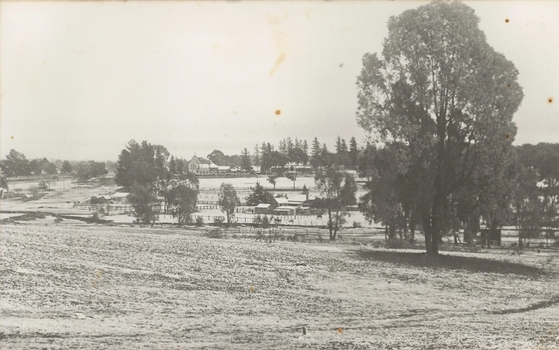 Snow on the Chiltern Golf Course 1922