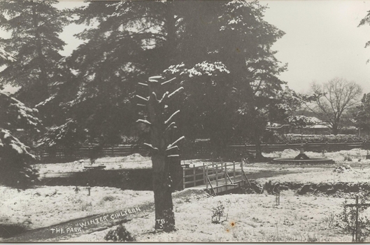 Winter in the Park Chiltern, 1922
