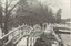 The Bridge in the Park, 1922