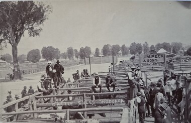Cattle Sales at Wodonga