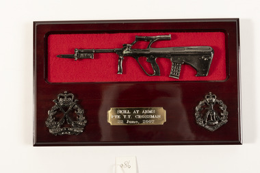Plaque - Plaque - Skill at Arms - Royal Australian Regiment, Skill at Arms, 2007