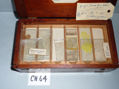 Geological Specimens