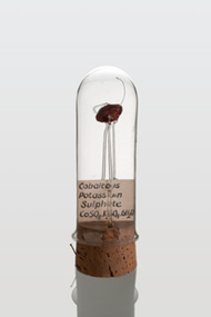Cobalt Potassium Sulphate
