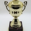 Trophy gold in color sitting on dark colored plastic stand.