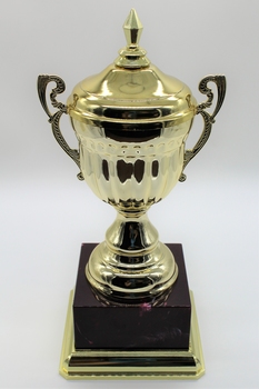 Trophy gold in color sitting on dark colored plastic stand.