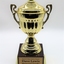 Trophy gold in color sitting on dark colored plastic stand.