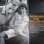 The story of the Vietnam War Memorial and Commemorative Garden.