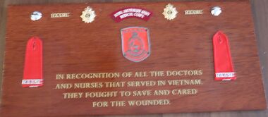 The plaque pays homage to the medical services in the Vietnam War.