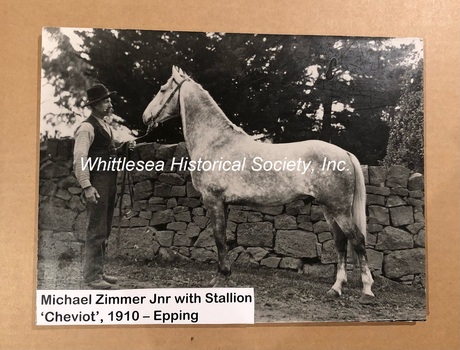 Michael Zimmer Junior with stallion "Cheviot", 1910 - Epping.