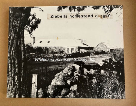 Ziebells Homestead, Thomastown, c.1959