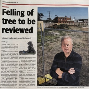 Newspaper - Newspaper clipping, Whittlesea Leader, Felling of tree to be reviewed, 3 Oct 2017