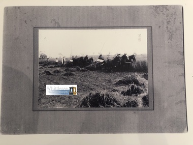 Photocopy of photograph, Cutting oats at Clark's, Glenburnie Road, Eden Park, unknown