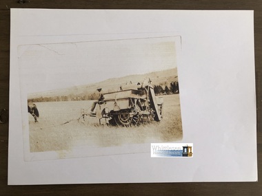 Photocopy of photograph, Harvesting Wheat, Gibson's, River Street, Whittlesea, unknown