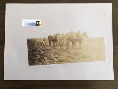 Photocopy of photograph, Horses ploughing, unknown