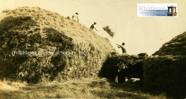 Photograph - Brown Album, Hay Stacking Glenvale, c. 1925