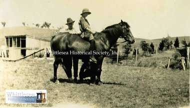 Photograph - Brown Album, Whittlesea, Girl on a horse, c. 1925