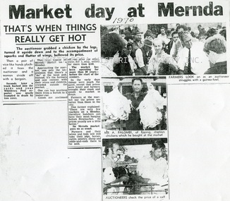 Newspaper - Newspaper Clipping, Copy, Market Day at Mernda, 1970