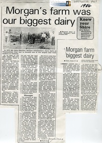 Newspaper - Copy, Article, Whittlesea Post, Morgan's farm was our biggest dairy, 1984