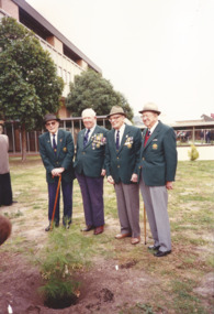 Photograph - Tree Planting, Legacy Lone Pines, 1991