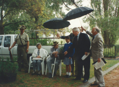 Photograph - Tree Planting, Legacy Lone Pines, 1993