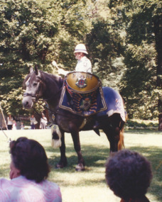 Photograph - Widows function, Widows Outdoor Concert 1994, 1994
