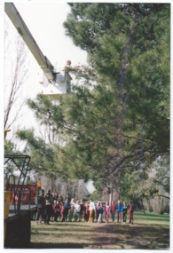 Photograph - Photo, Legacy Lone Pines, 1989