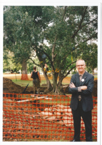 Photograph - Photo, Olive Tree of Peace 2002, 2002