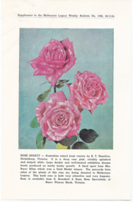 Pamphlet, Rose Legacy : Supplement to the Melbourne Legacy Weekly Bulletin No 1786 26/5/64, 1964