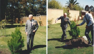 Photograph, Planting a lone pine sapling at Springvale Garden of Remembrance, 1993