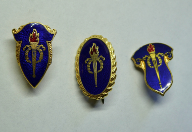 Badge, Legacy Appeal Badges - £5, 1960s