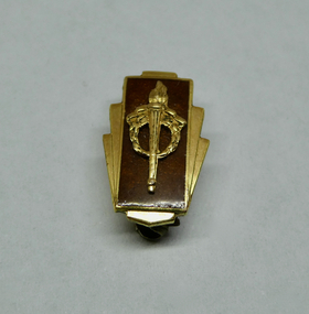 Badge, Legacy Appeal Badge - £25, 1960s