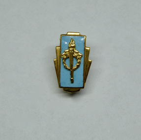 Badge, Legacy Appeal Badge - £50, 1960
