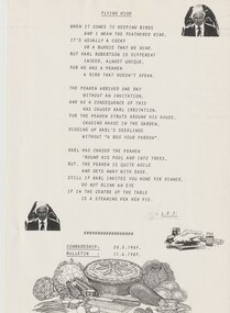 Document - Poem, Flying High