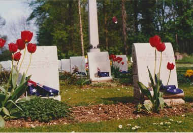 Photograph, Harefield UK, 1995