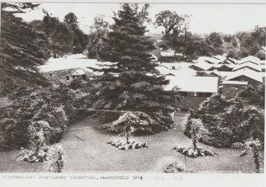 Photograph, Harefield UK, 1919
