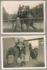 Photograph, Holmbush excursion to the zoo, 194X